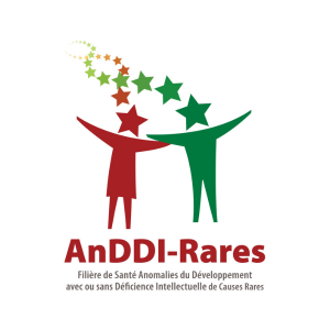 Logo de la Filière de Santé Maladies Rares ANDDI Rares