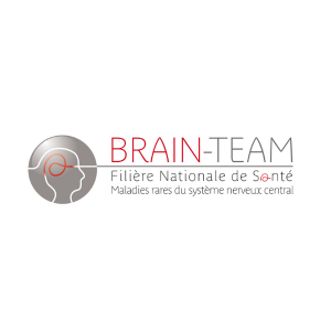 Logo de la Filière de Santé Maladies Rares Brain Team