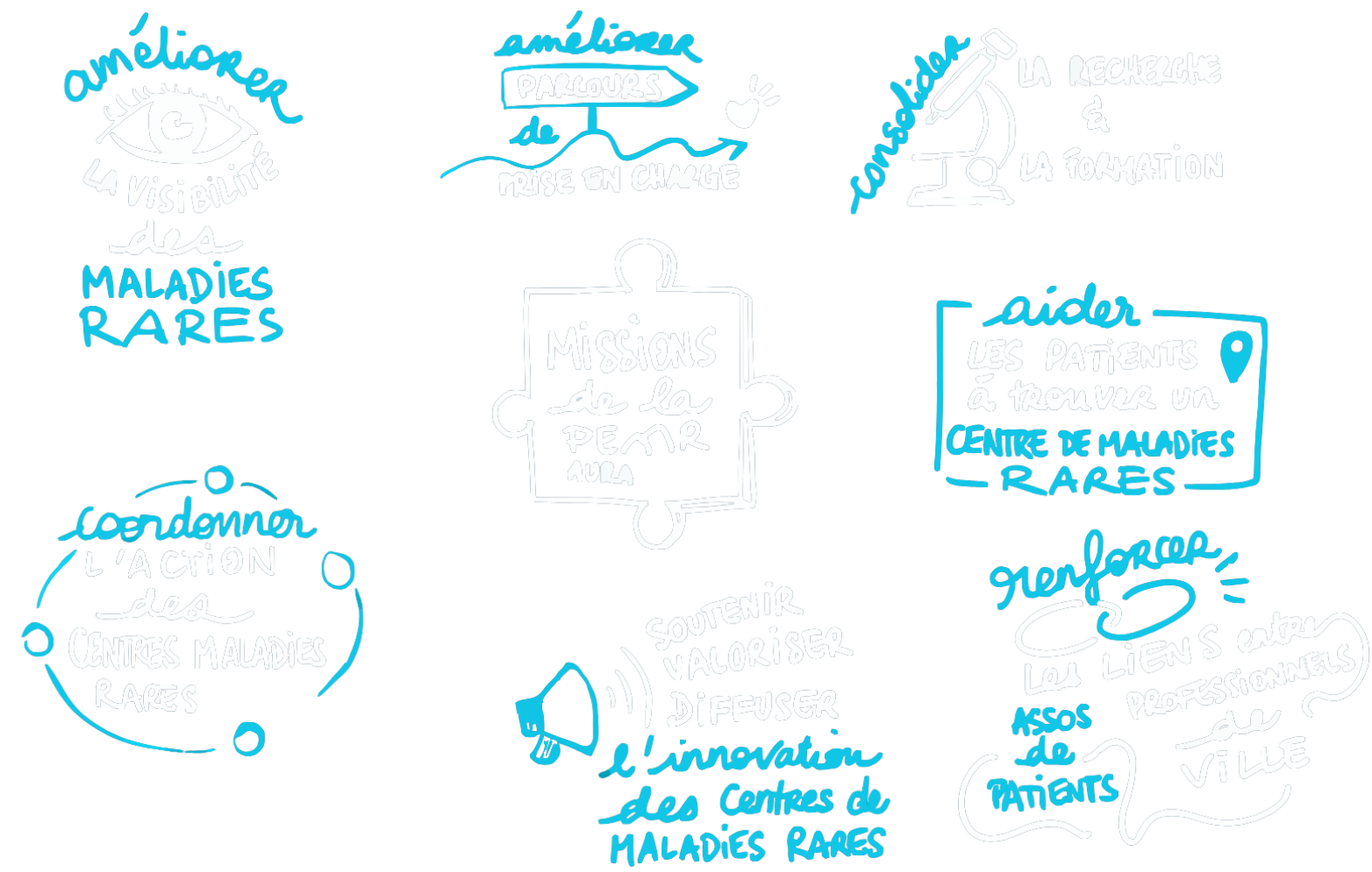 Schéma représentant les différentes missions de la Plateforme d'Expertise Maladies Rares